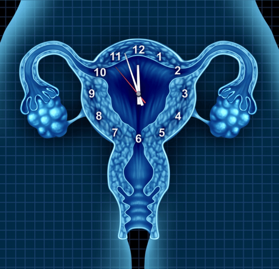 QUAL A HORA CERTA PARA TRATAMENTO DE FERTILIZAÇÃO?