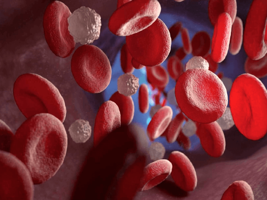 AS PRINCIPAIS NEOPLASIAS HEMATOLÓGICAS