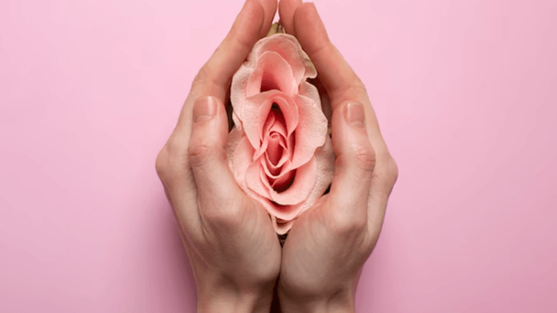 Ginecologia regenerativa e a revolução na autoestima genital feminina