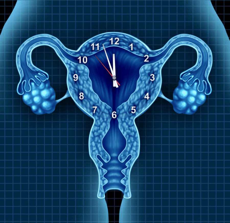 QUAL A HORA CERTA PARA TRATAMENTO DE FERTILIZAÇÃO?
