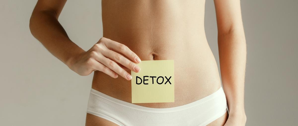 Capa do artigo DIETA DETOX