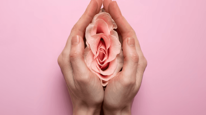 Ginecologia regenerativa e a revolução na autoestima genital feminina