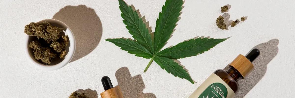 Entre a sombra e a luz, nasce um novo cuidado!