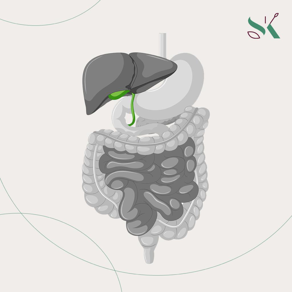 Capa do artigo Por que remover a vesícula biliar se você não tem nenhum dos sintomas?